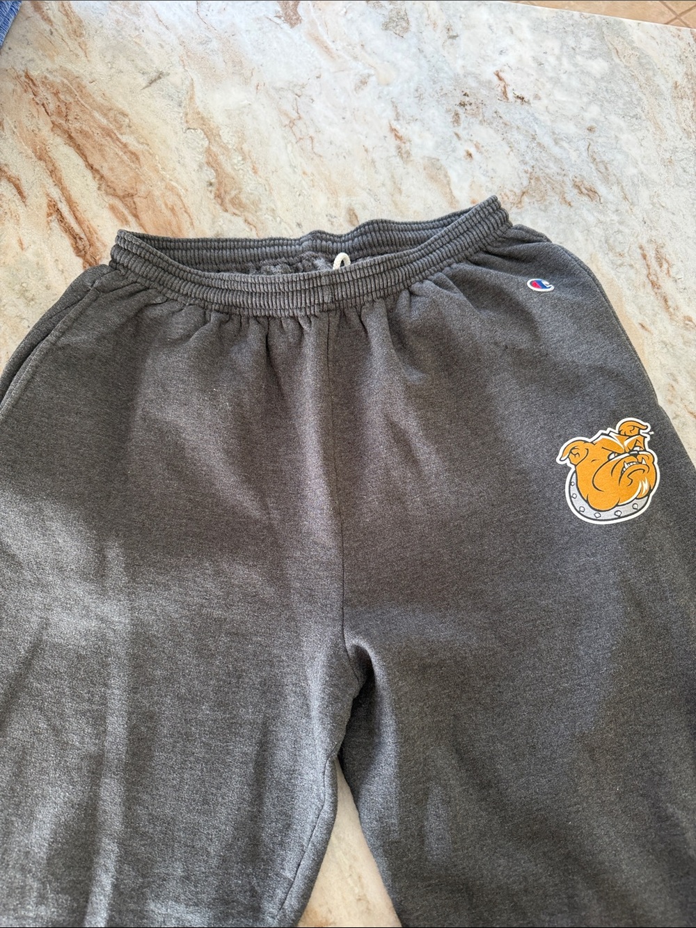 Bryant university Champion Charcoal Gray Sweatpants with Mascot Patch